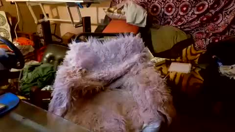 Taylor Tash online show from October 20, 5:08 am