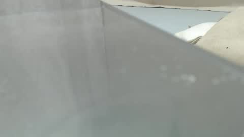 your_guy111 online show from April 11, 12:15 am