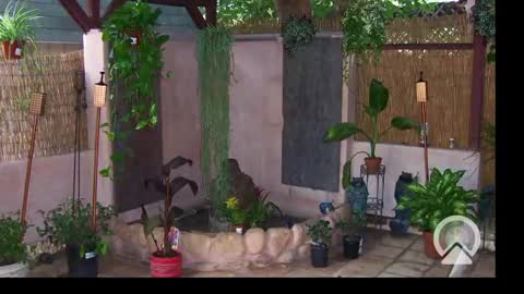 Sophiestar online show from February 24, 10:26 am