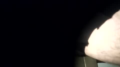 yourexpirementmale online show from July 26, 8:49 pm