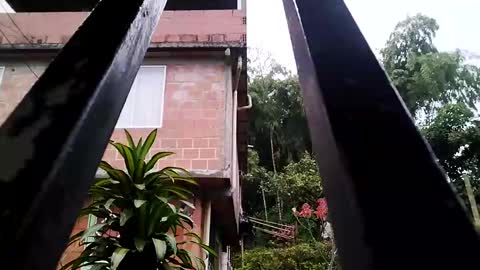 yourgodzeus online show from March 3, 11:33 am