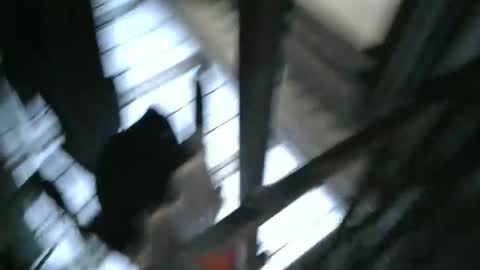 yourpersonalgeniusl online show from December 15, 10:47 pm