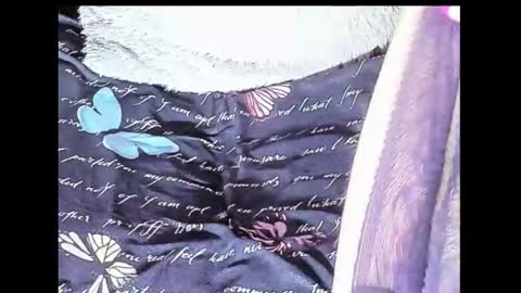 Yukio Davis  online show from October 10, 1:48 am