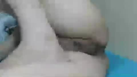 Snapshot of yummy72747 chatting on July 14, 10:32 am yummy72747 online show from July 14, 10:32 am