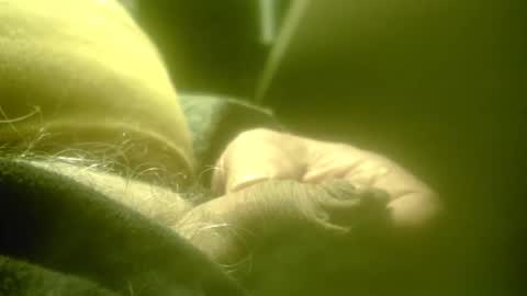 zaboski4 online show from February 26, 8:24 am