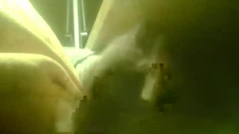 zaboski4 online show from March 18, 7:44 am