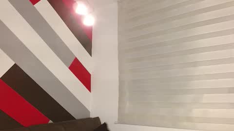 Zack  online show from March 6, 12:01 pm