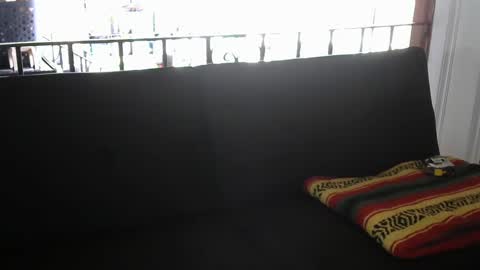 Snapshot of zaddykendoll chatting on September 10, 2:17 pm Aiden online show from September 10, 2:17 pm