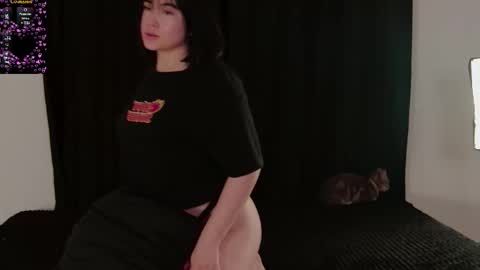 zamila online show from February 13, 9:38 am