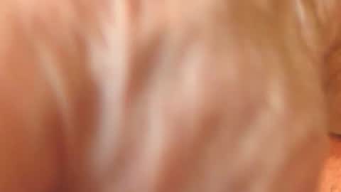 Snapshot of zevioo77 chatting on November 18, 11:58 am zevioo77 online show from November 18, 11:58 am