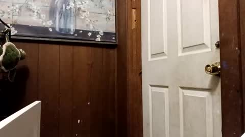 Snapshot of zfdcuvxqqtzh chatting on November 10, 3:27 am zfdcuvxqqtzh online show from November 10, 3:27 am