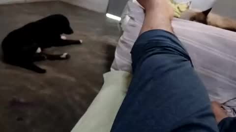 Snapshot of zitojose73 chatting on October 8, 6:49 pm zitojose73 online show from October 8, 6:49 pm