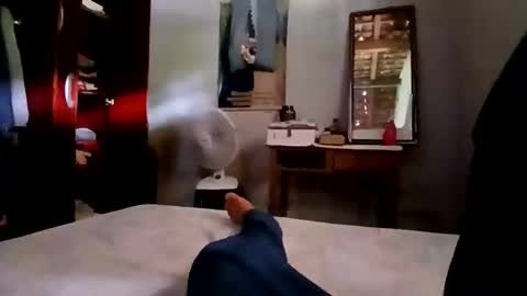 Snapshot of zitojose73 chatting on November 4, 5:12 pm zitojose73 online show from November 4, 5:12 pm