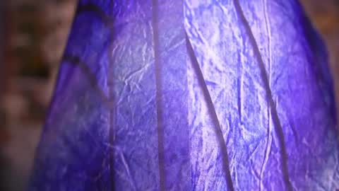 zoey fox  online show from April 8, 11:27 pm