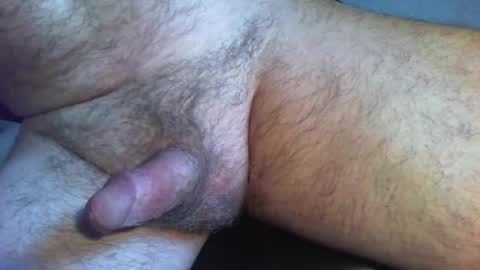 zokalo online show from February 13, 11:50 am