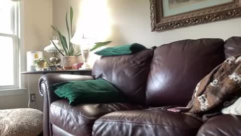 Jesse online show from June 15, 10:45 pm