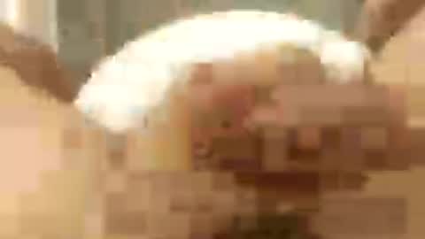 zqporn123 online show from August 9, 3:34 am