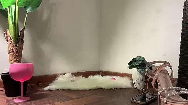 Snapshot of valeria_lokitasexy chatting on February 2, 3:16 am valeria lokitasexy online show from February 2, 3:16 am