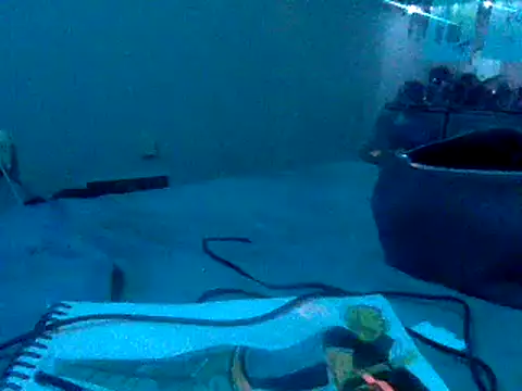 Snapshot of Fr4nk1eFFuxxx chatting on January 3, 9:36 am Fr4nk1eFFuxxx online show from January 3, 9:36 am