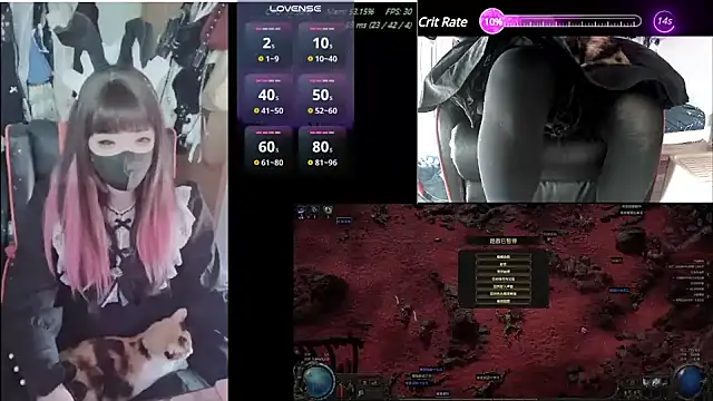 z23002 online show from January 17, 8:45 am