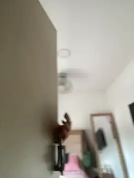 Snapshot of Lia_flowers chatting on March 2, 5:25 pm Lia flowers online show from March 2, 5:25 pm