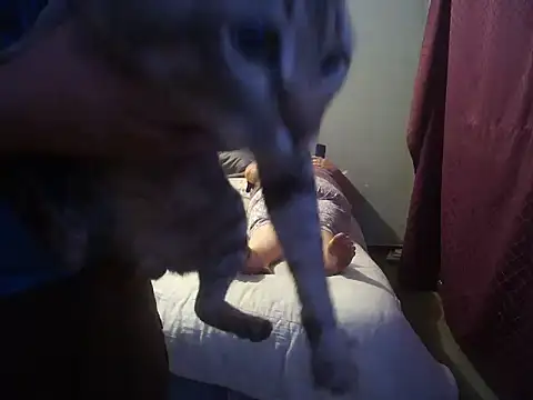 hothouse18xxx online show from December 30, 6:49 pm