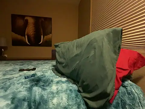 Bwcjoshbanks online show from January 31, 5:30 am