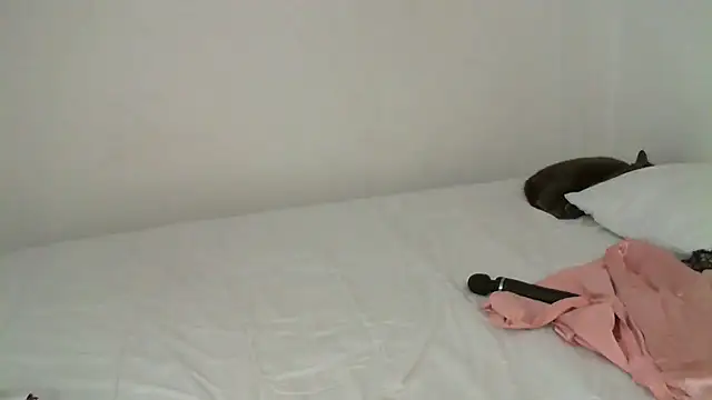 Snapshot of salome__milf chatting on February 16, 12:30 am salome milf online show from February 16, 12:30 am