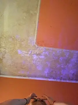 ducicsajsziii online show from March 6, 8:08 am