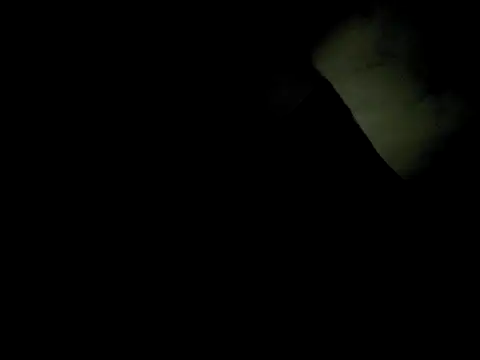 j hollywood91 online show from December 2, 5:46 am