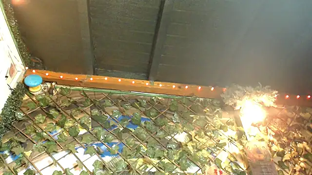 Snapshot of Bigboobs6930 chatting on January 24, 5:31 am Bigboobs6930 online show from January 24, 5:31 am