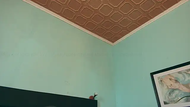 Prxscillia Tx online show from January 14, 3:15 pm