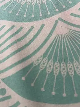 kannadatelugugirl online show from January 1, 3:13 am