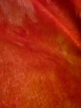 SmokeShow686 online show from March 5, 1:50 pm