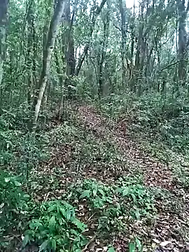 OFICINA Simas-Turbo online show from September 20, 7:37 pm