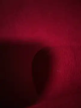 Snapshot of RavenM8 chatting on February 11, 1:10 am RavenM8 online show from February 11, 1:10 am