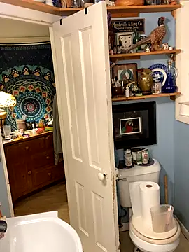 Snapshot of sexyasscougar chatting on October 6, 7:39 am sexyasscougar online show from October 6, 7:39 am