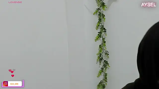 aysel elid online show from January 8, 12:06 am