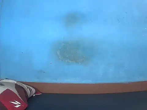 kannamu99 online show from November 17, 4:29 am