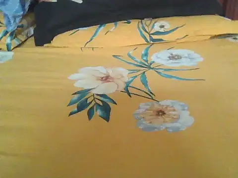 Nuttysub online show from November 20, 2:01 am