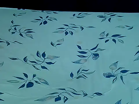 HoneyBun143 online show from April 11, 8:02 pm