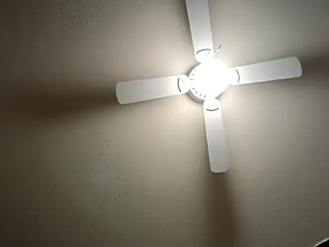 EXOTICLEXXXI online show from December 23, 3:37 am