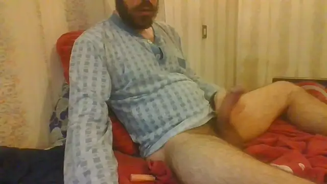 tozebrito hd online show from October 30, 4:36 am