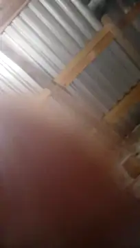 Moreno1813 online show from November 5, 6:13 am