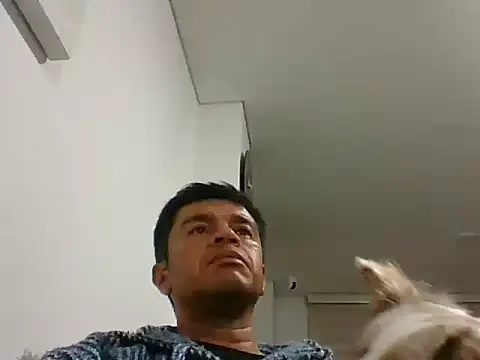 Snapshot of perxxxeo_ chatting on October 11, 1:38 am perxxxeo online show from October 11, 1:38 am