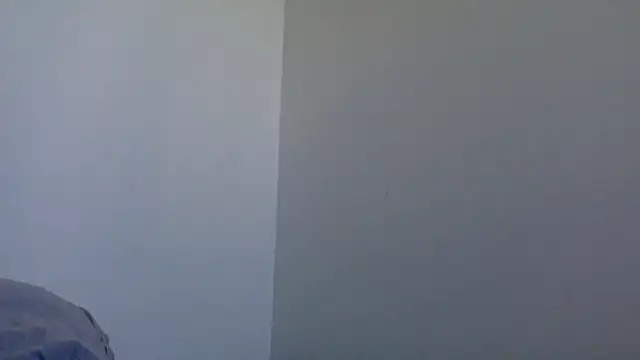 molozeb online show from February 8, 8:40 am