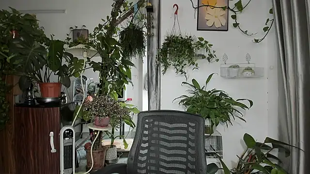 Oliver Nl online show from March 13, 5:03 am