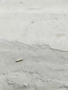 Monster Bigdick online show from December 7, 10:56 am