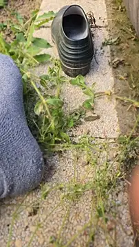 anald66666 online show from April 23, 12:29 pm