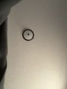 ebonyred online show from December 21, 2:24 pm